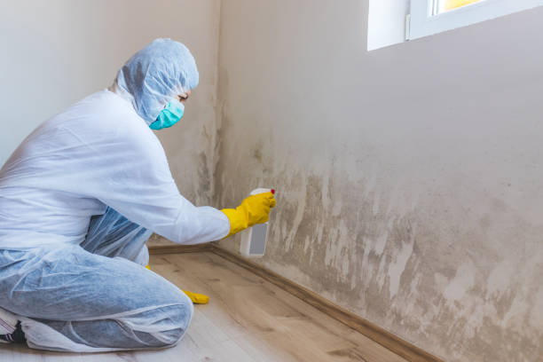 Mold Remediation specialist working in Wye Mills